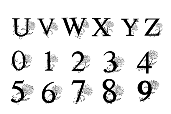Daisy Font - Preview 2