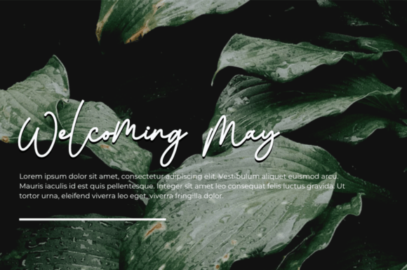 Gelista Font PNG with transparent background - Preview 2