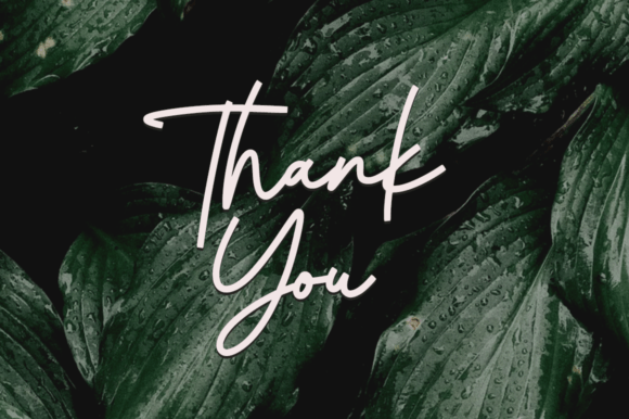 Gelista Font PNG with transparent background - Preview 6