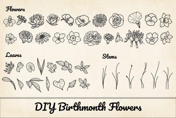 200 Birthflower Element Bundle PNG & SVG