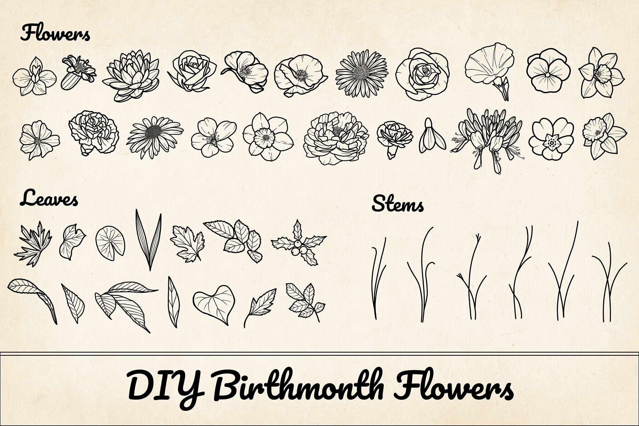 200 Birthflower Element Bundle PNG & SVG