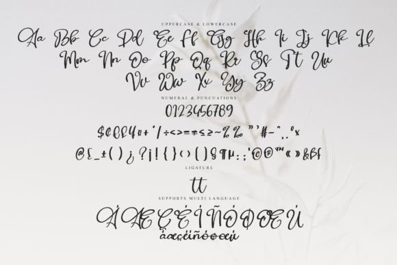 Astride Font - Preview 5
