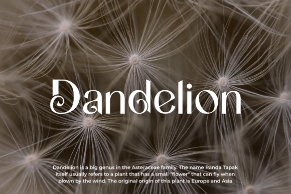 Bugaeil Font - Preview 5