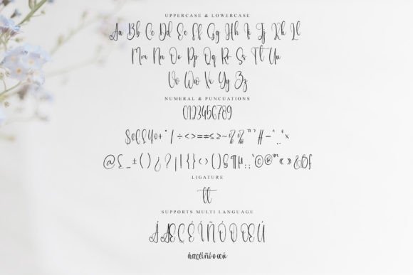 Briefing Font - Preview 5