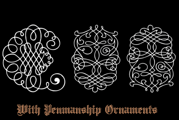 Calligraphia Latina Soft 2 Font - Preview 3