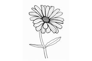 Daisy Flower Adults Coloring Page Graphic by Forhadx5 · Creative Fabrica