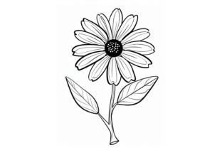 Daisy Flower Adults Coloring Page Graphic by Forhadx5 · Creative Fabrica