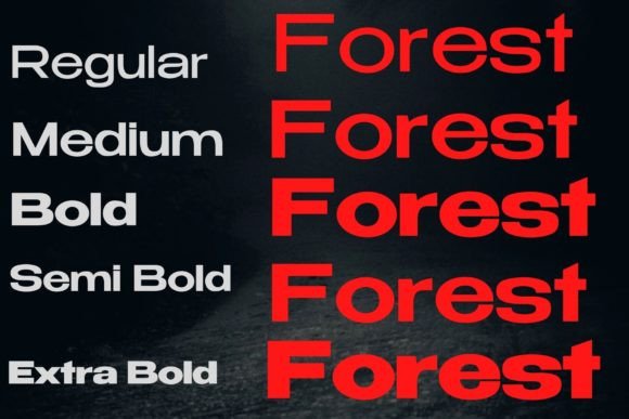 Dark Forest Font - Preview 3