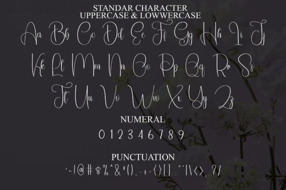 Flamingo Font - Preview 2