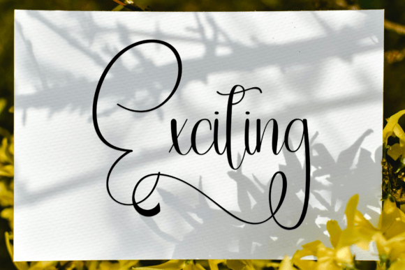 Flamingo Font - Preview 4