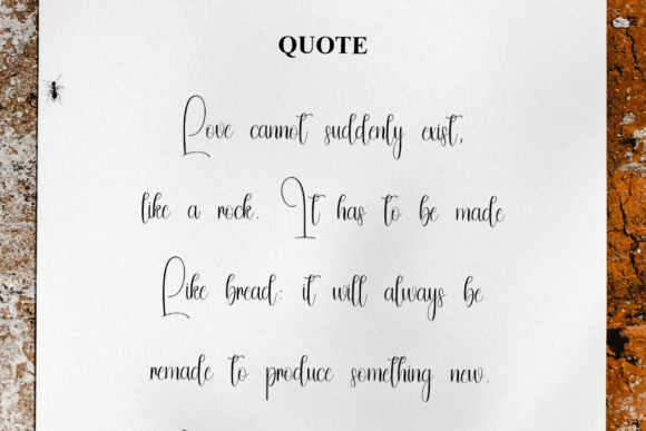 Flamingo Font - Preview 5