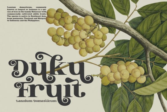 Marghata Font PNG with transparent background - Preview 2