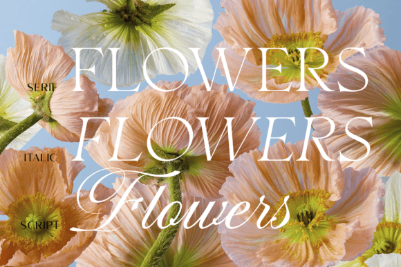 Intenso Font PNG with transparent background - Preview 3