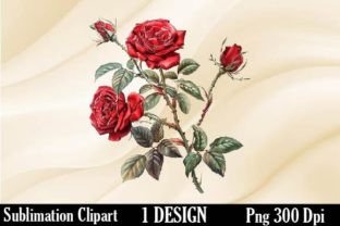 Red Rose Clipart Graphic by bundle queen · Creative Fabrica