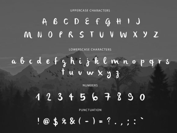 Boliovio Font - Preview 5