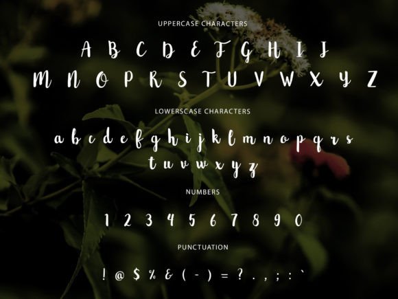 Pearlemon Font PNG with transparent background - Preview 4