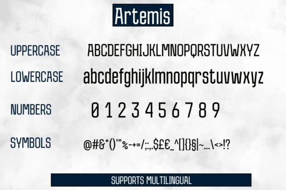 Artemis Font - Preview 3