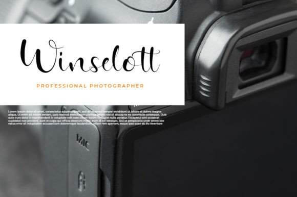 Bestovine Font - Preview 5
