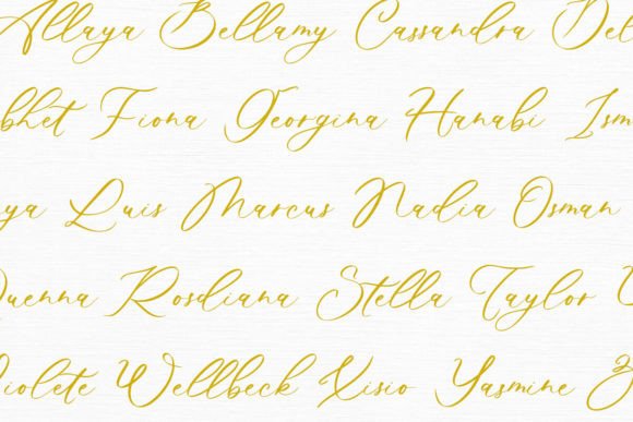 Latoya Williams Font PNG with transparent background - Preview 6
