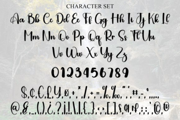 Autography Font - Preview 6