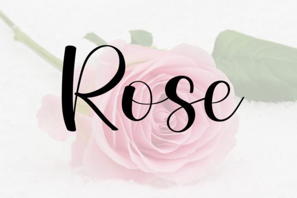 Beauty Font - Preview 1