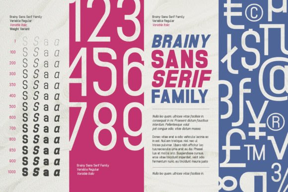 Brainy Variable Font - Preview 2