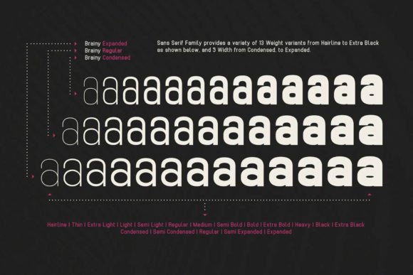 Brainy Variable Font - Preview 3