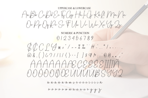 Carmila Signature Font - Preview 6