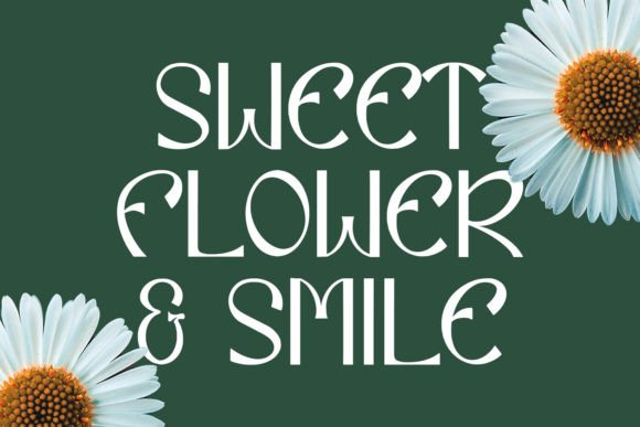 Eiclare Font - Preview 2