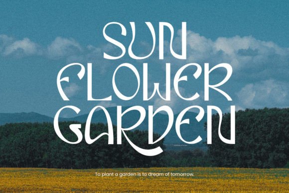 Eiclare Font - Preview 3