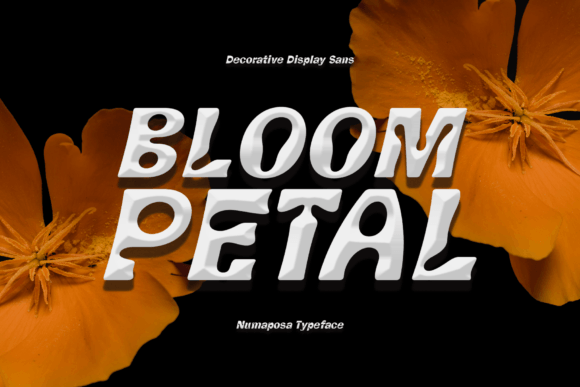 Numaposa Font PNG with transparent background - Preview 2