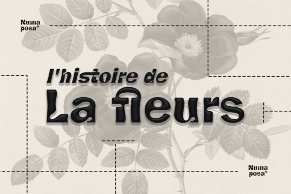 Numaposa Font PNG with transparent background - Preview 3