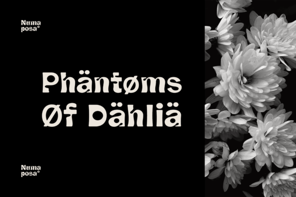 Numaposa Font PNG with transparent background - Preview 4