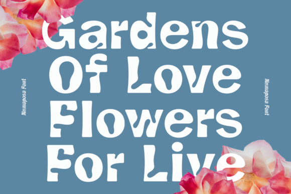 Numaposa Font PNG with transparent background - Preview 5