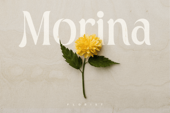 Algebra Font - Preview 3