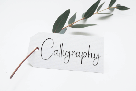 Basthian Signature Font - Preview 4