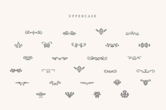 Beach Divider Font - Preview 1