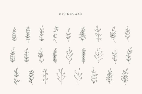 Beach Leaves Font PNG with transparent background - Preview 1