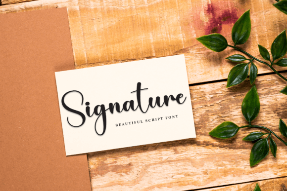 Delicate Font - Preview 4