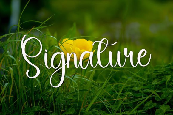 Delight Font - Preview 1
