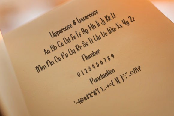 Enjoy Business Font - Preview 2