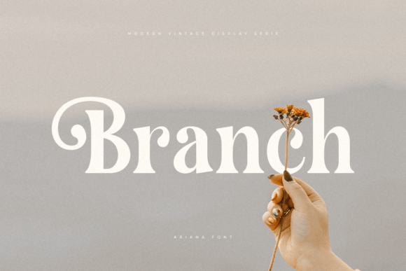 Ariana Font - Preview 1