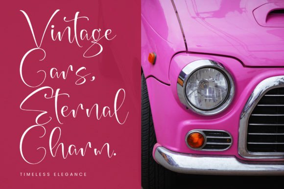 Azalea Sageretia Font - Preview 4