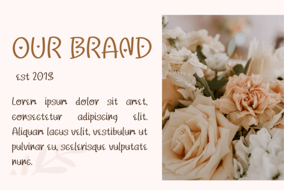 February Font - Preview 5