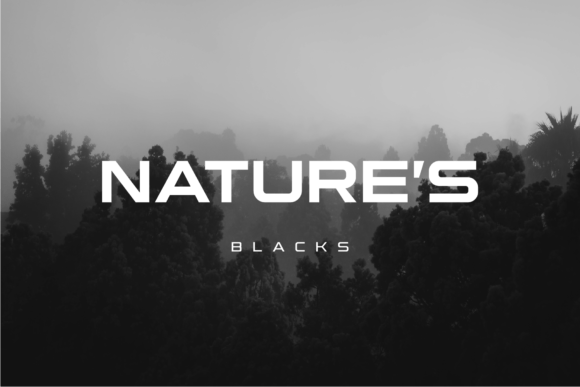 Roxa Sans Font PNG with transparent background - Preview 5