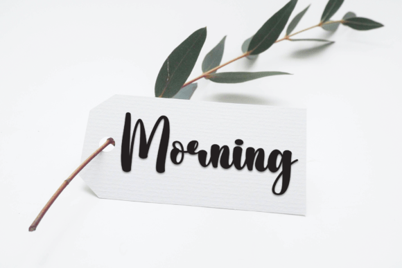 Boho Signature Font - Preview 4