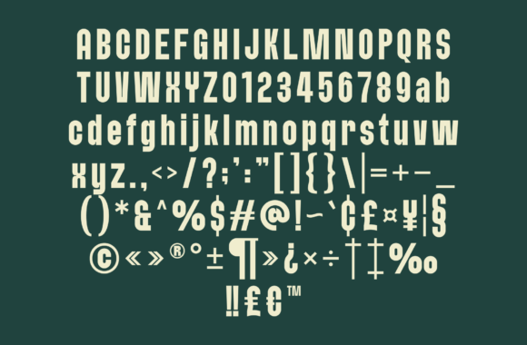 Braked Font - Preview 5