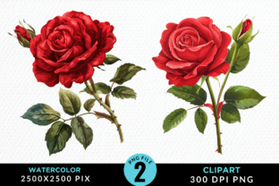 Red Rose Clipart Sublimation PNG Design Graphic by Regulrcrative ...