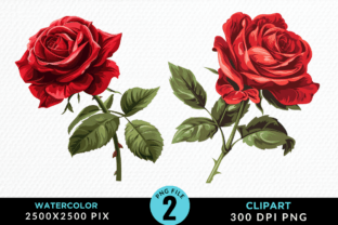 Red Rose Clipart Sublimation PNG Design Graphic by Regulrcrative ...