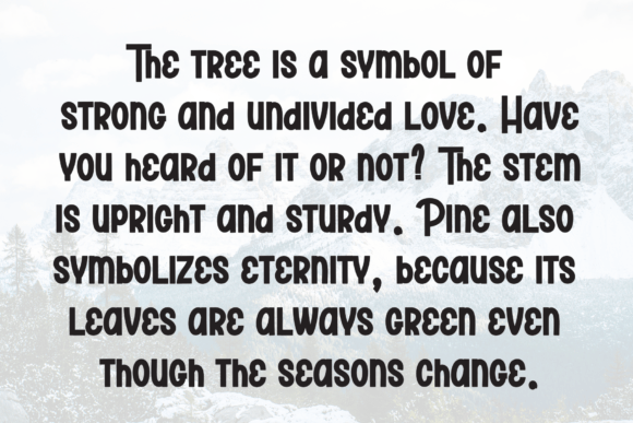 Book Beauty Font - Preview 5